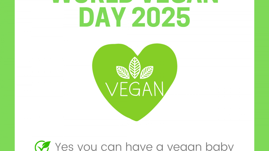 3rd - 9th November (1)