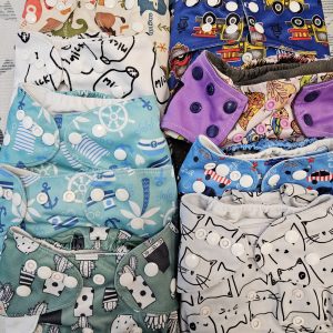 Littles and Bloomz Individual Pocket Nappies (Poppers)